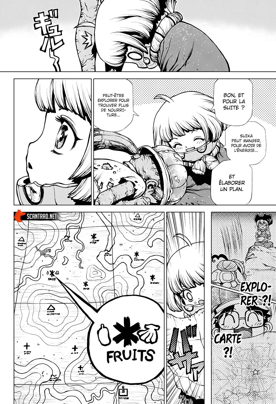 Lecture en ligne Dr Stone 195 page 15