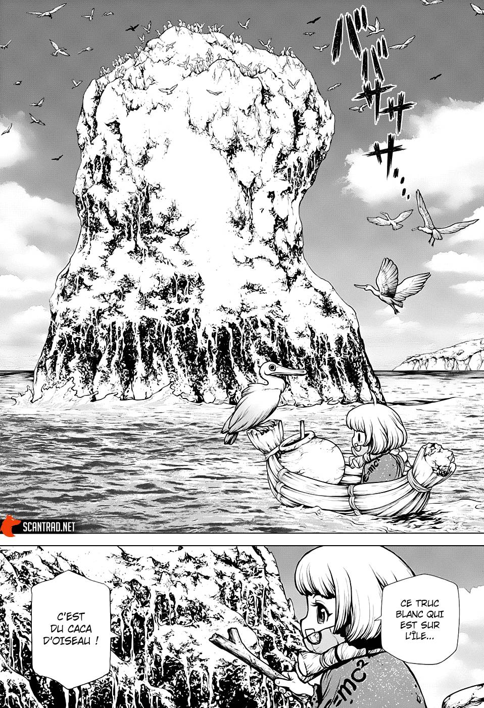Lecture en ligne Dr Stone 196 page 11