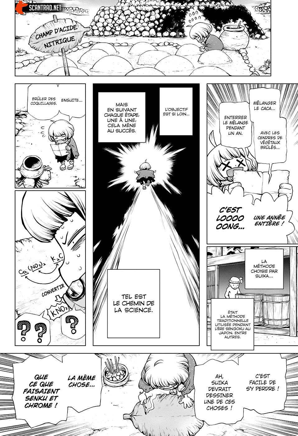 Lecture en ligne Dr Stone 196 page 12