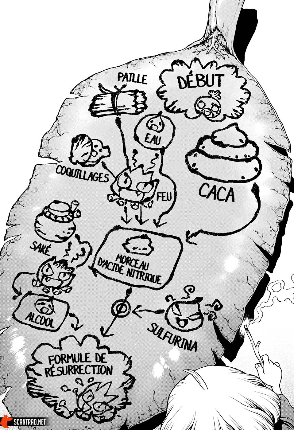 Lecture en ligne Dr Stone 196 page 13