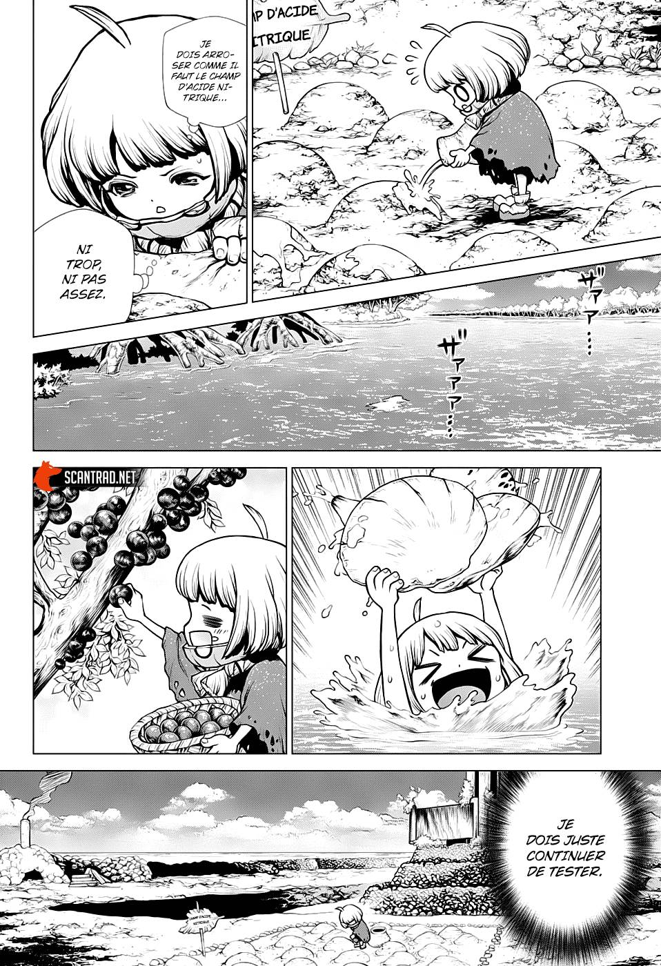 Lecture en ligne Dr Stone 196 page 14