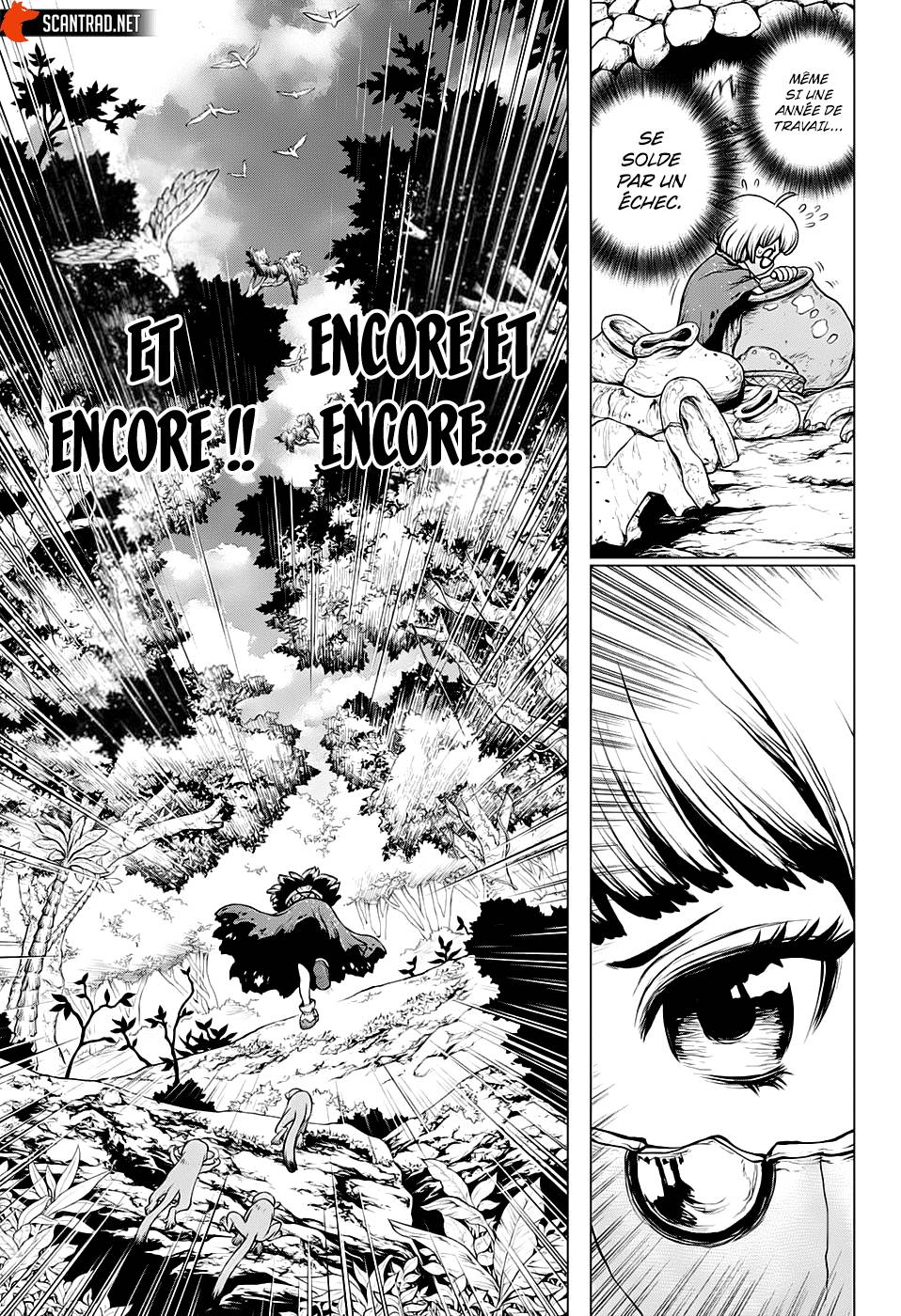 Lecture en ligne Dr Stone 196 page 15