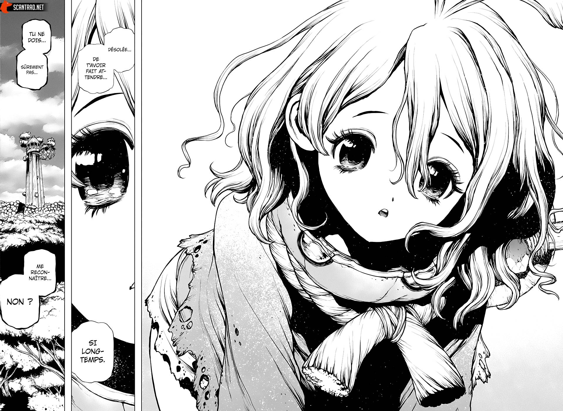 Lecture en ligne Dr Stone 196 page 18