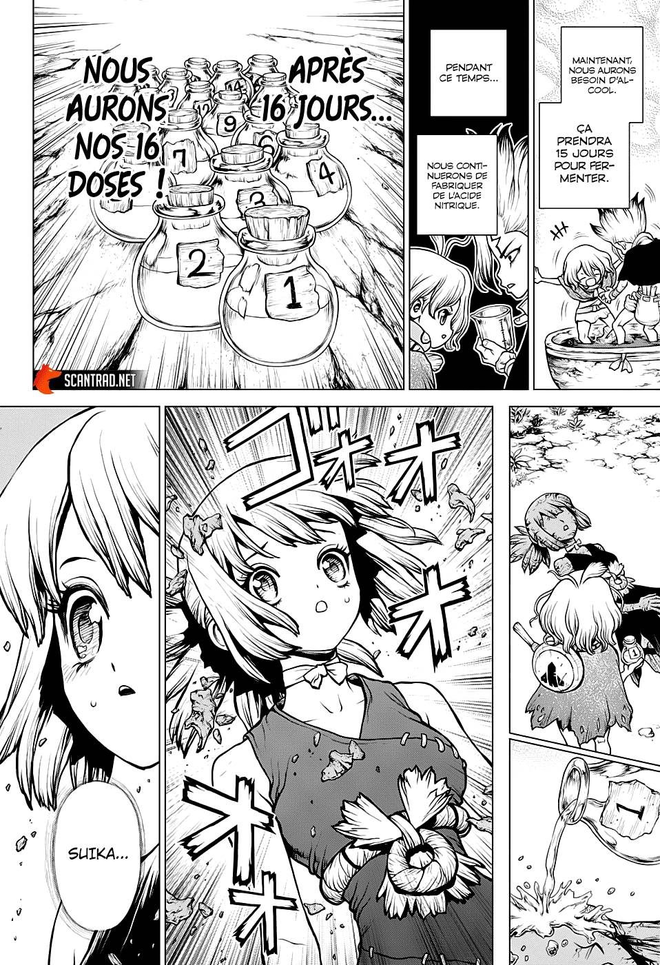 Lecture en ligne Dr Stone 197 page 5