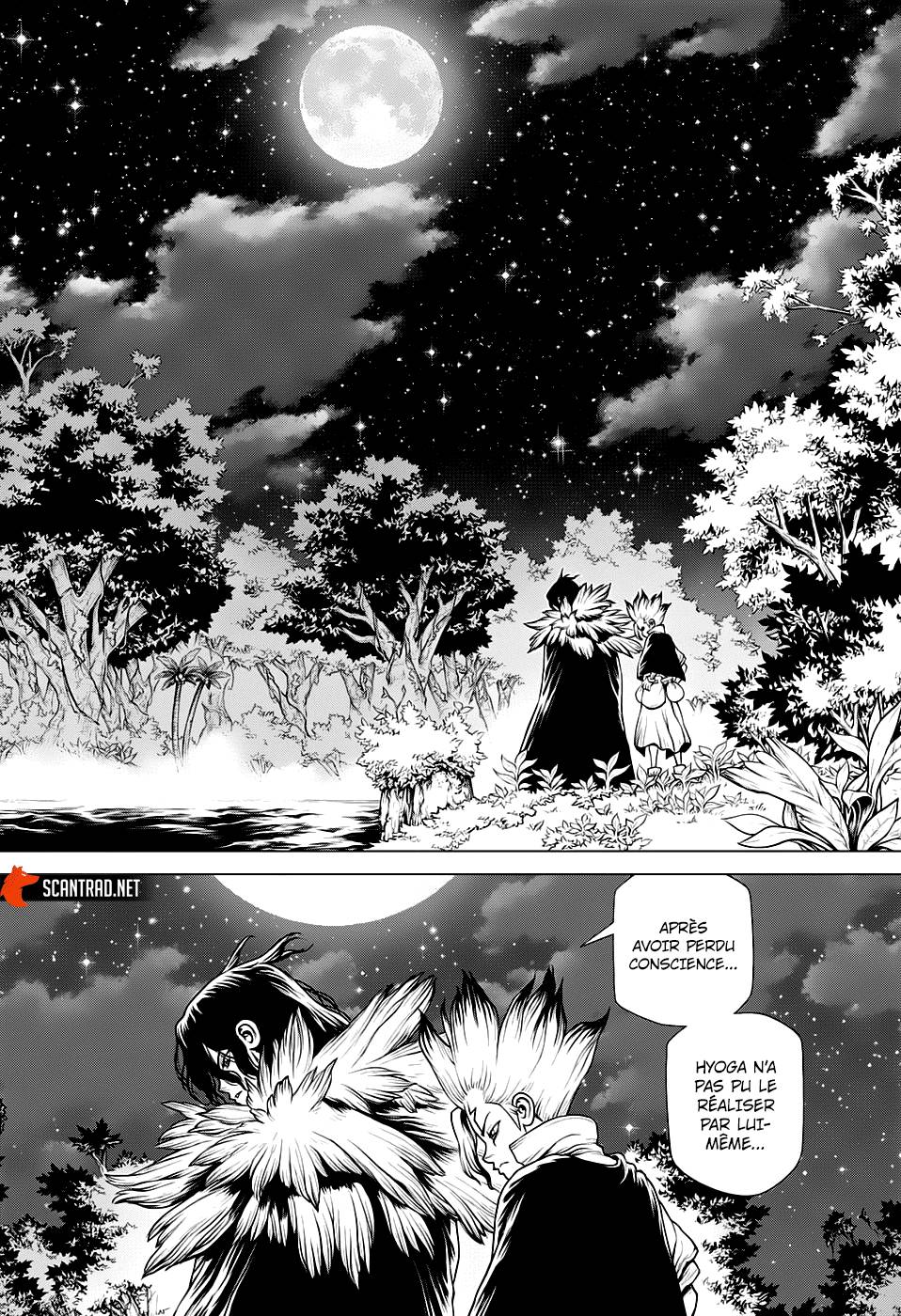 Lecture en ligne Dr Stone 197 page 15