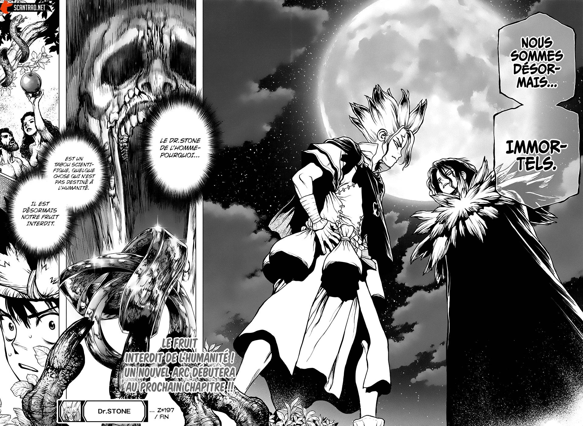 lecture en ligne Dr Stone 197 page 18