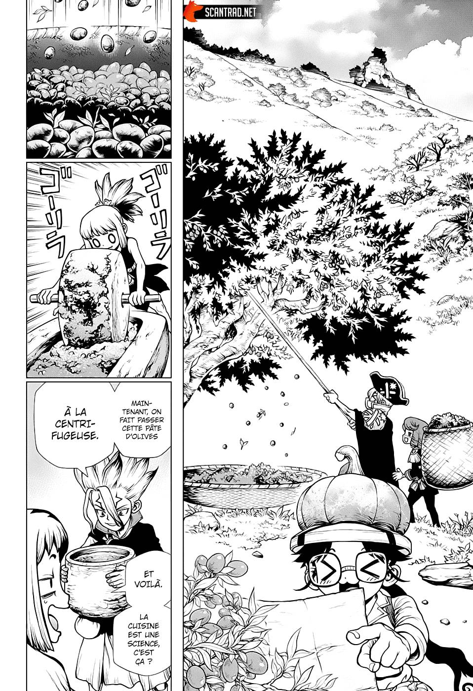 Lecture en ligne Dr Stone 202 page 6