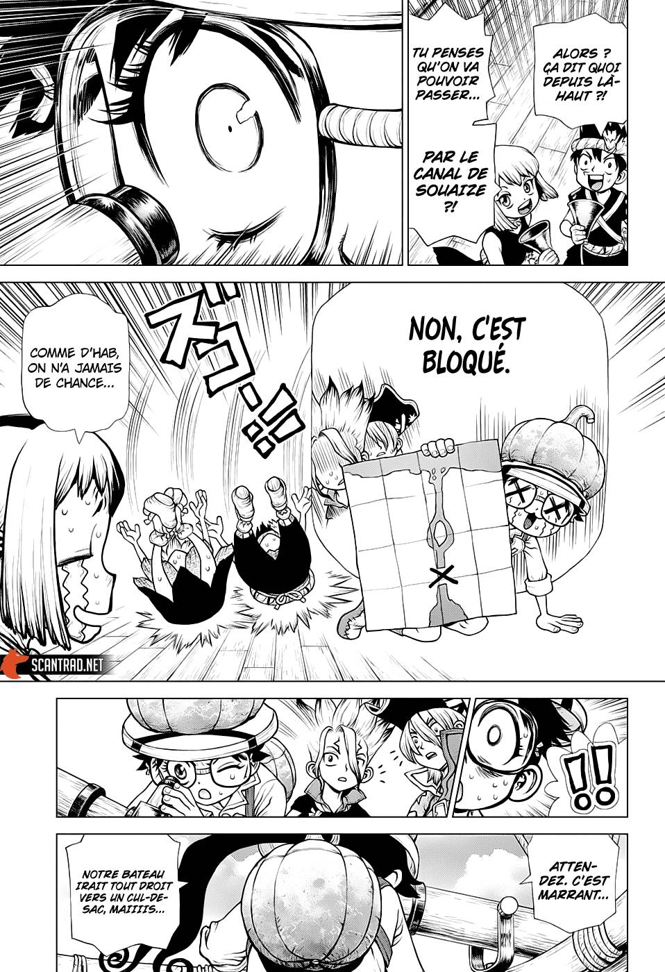 Lecture en ligne Dr Stone 203 page 12