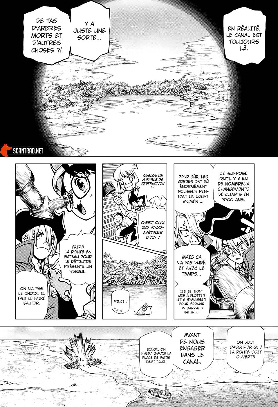 Lecture en ligne Dr Stone 203 page 13