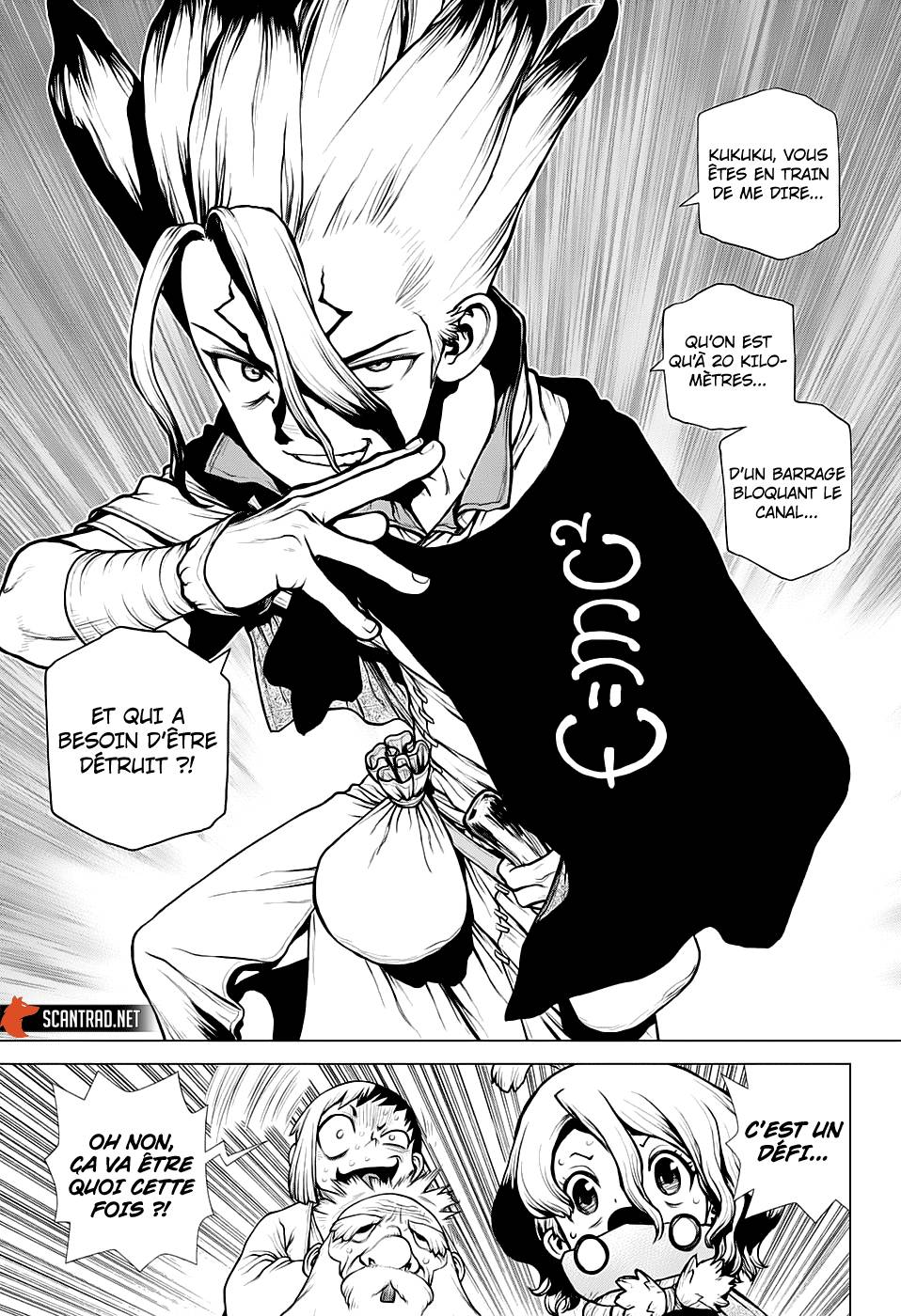 Lecture en ligne Dr Stone 203 page 14