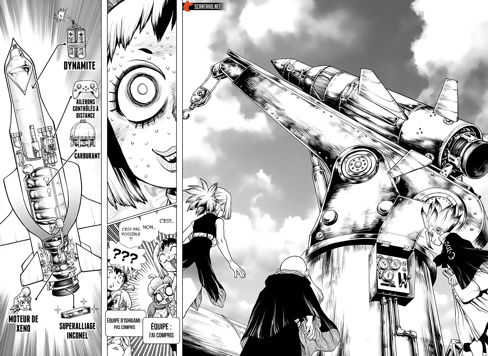Lecture en ligne Dr Stone 203 page 15