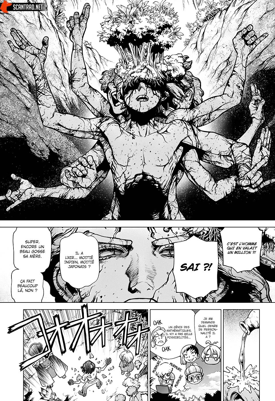 Lecture en ligne Dr Stone 204 page 13