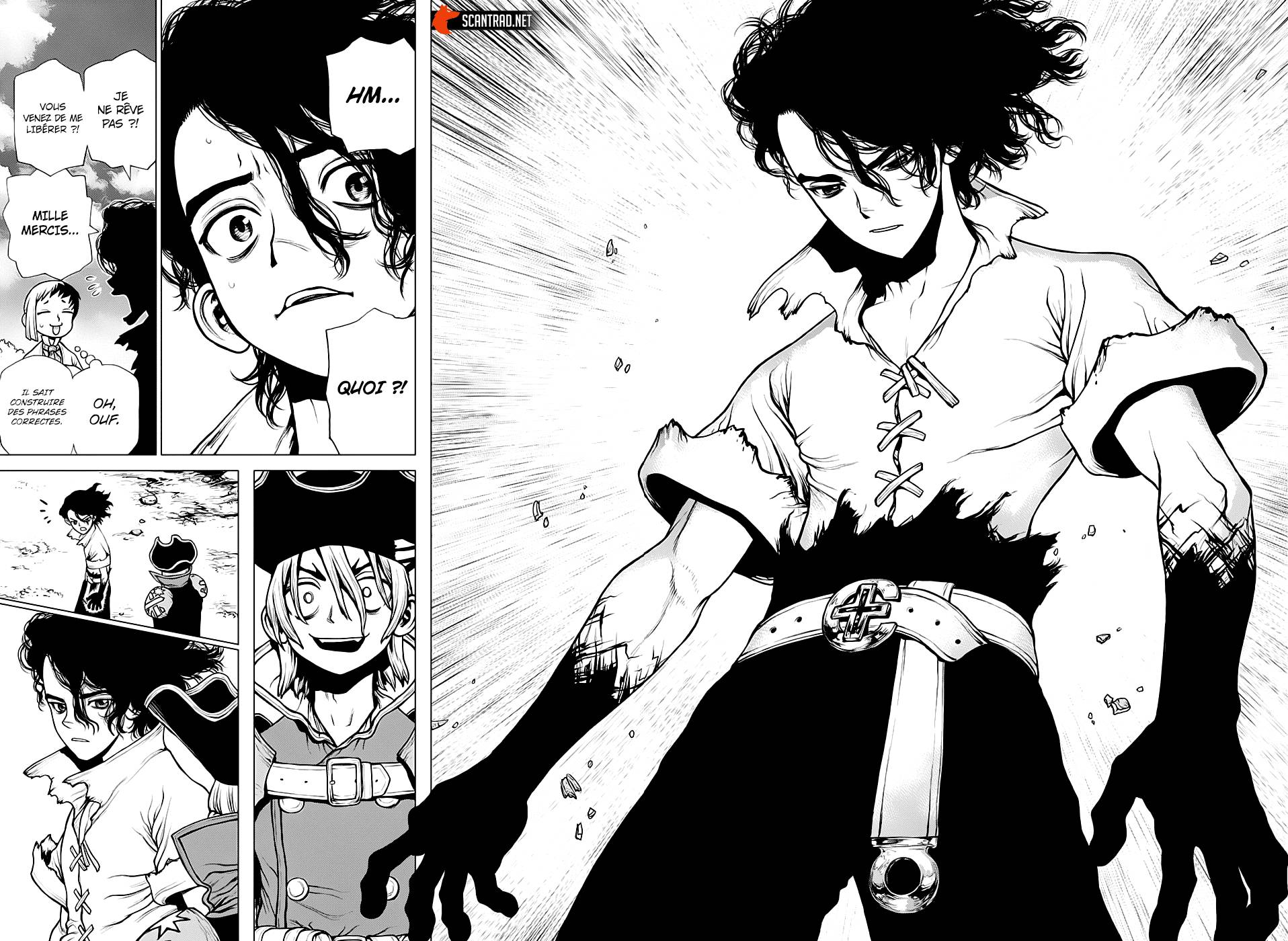 Lecture en ligne Dr Stone 204 page 14