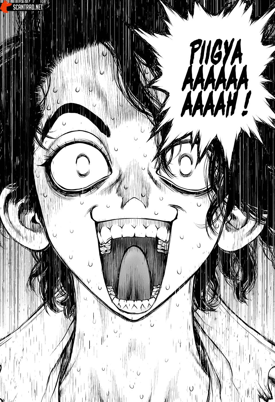 Lecture en ligne Dr Stone 204 page 15