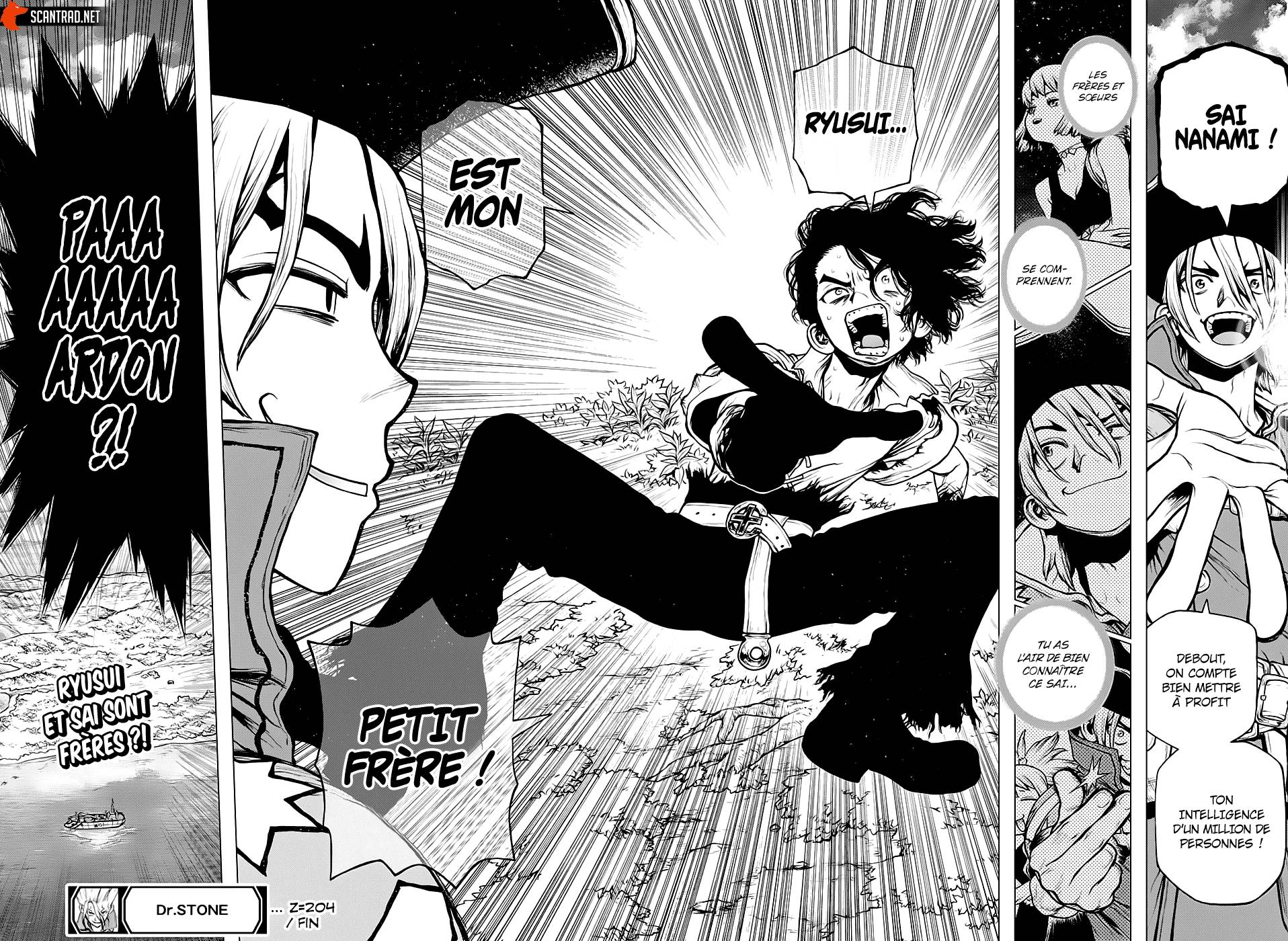 lecture en ligne Dr Stone 204 page 17