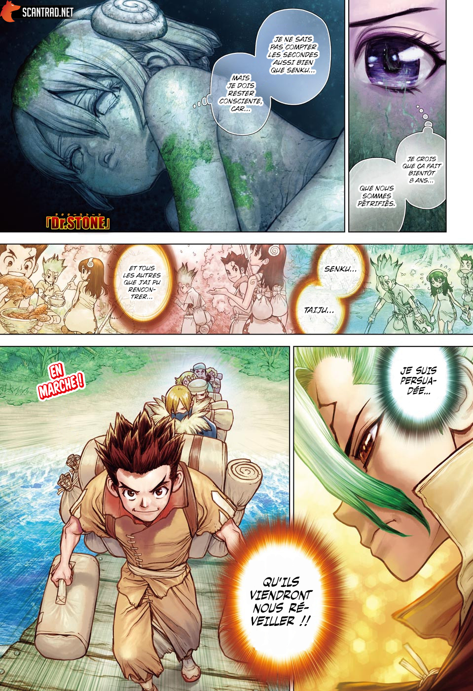 Lecture en ligne Dr Stone 206 page 1