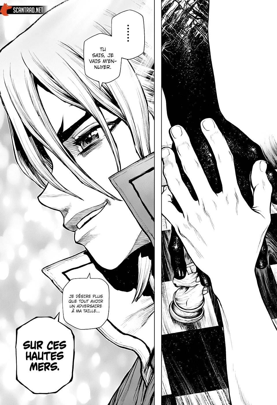 Lecture en ligne Dr Stone 207 page 19