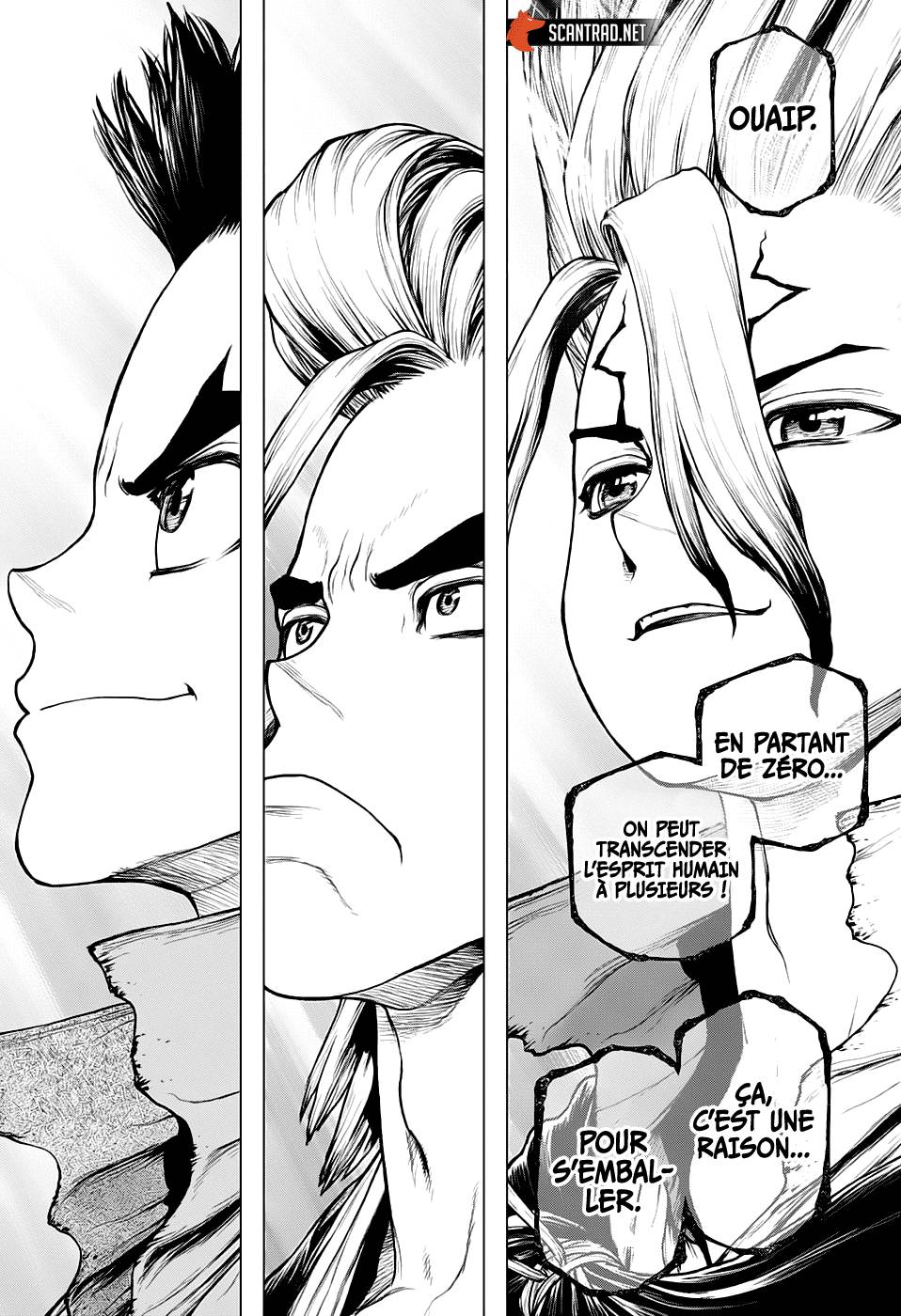 Lecture en ligne Dr Stone 208 page 17