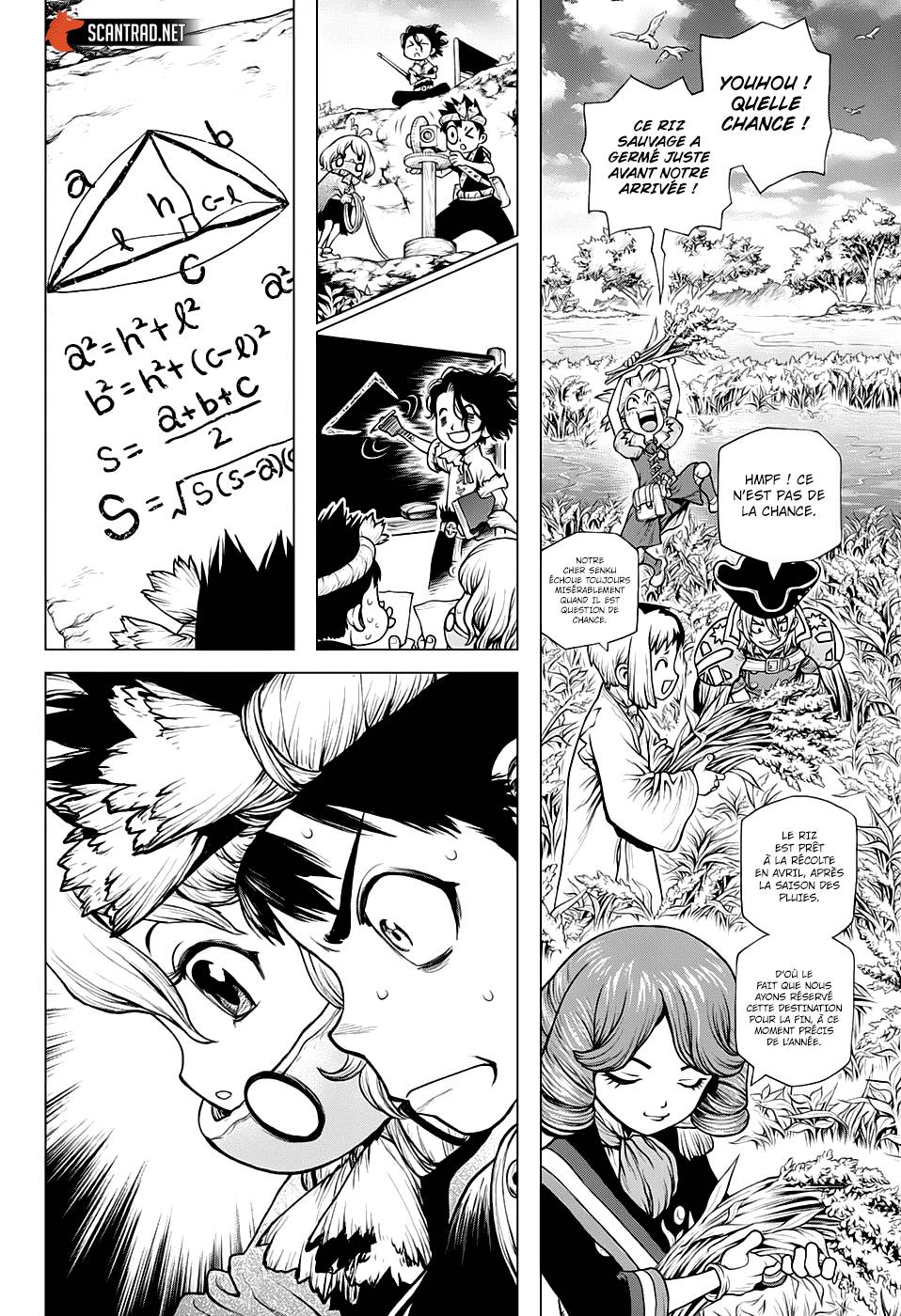 Lecture en ligne Dr Stone 211 page 9