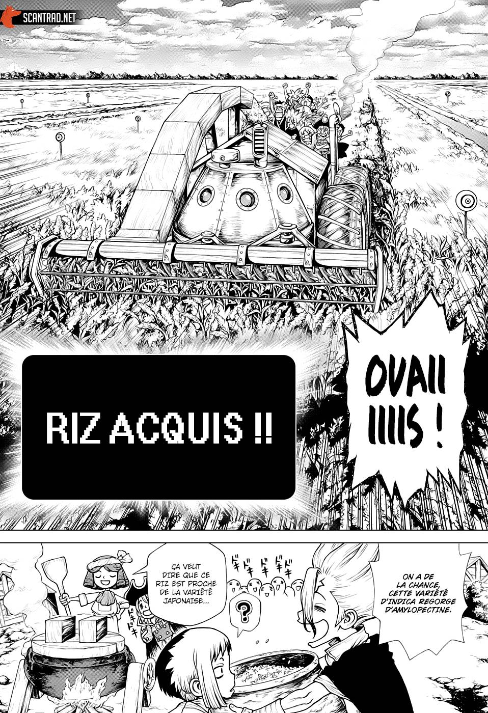 Lecture en ligne Dr Stone 211 page 13