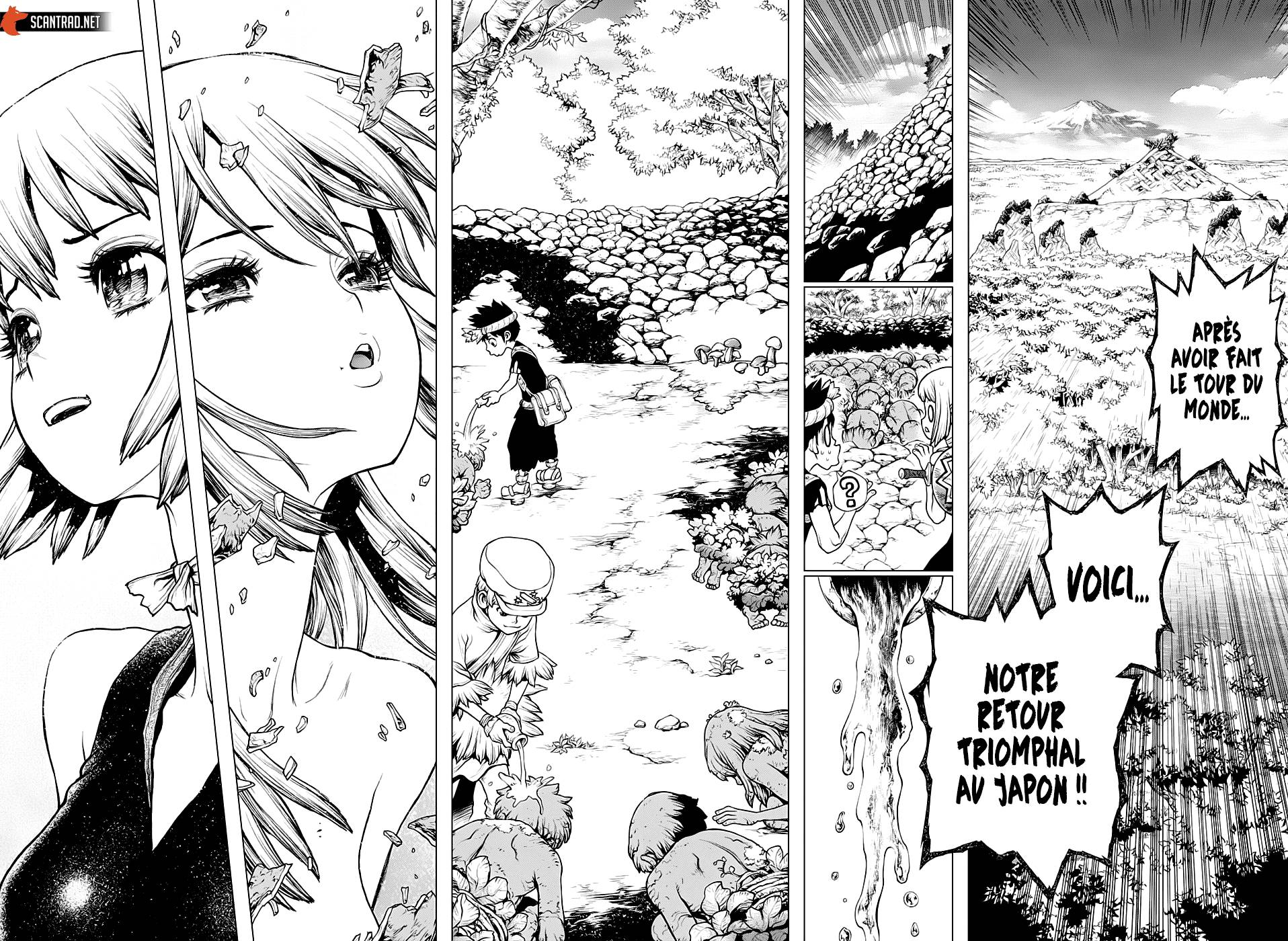 Lecture en ligne Dr Stone 212 page 7