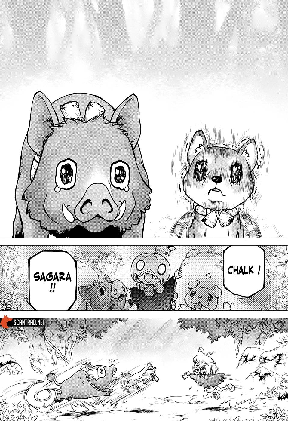 Lecture en ligne Dr Stone 212 page 11