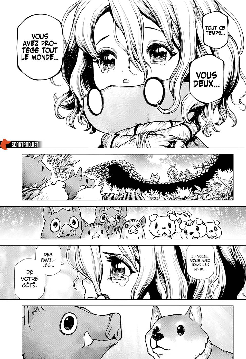 Lecture en ligne Dr Stone 212 page 13