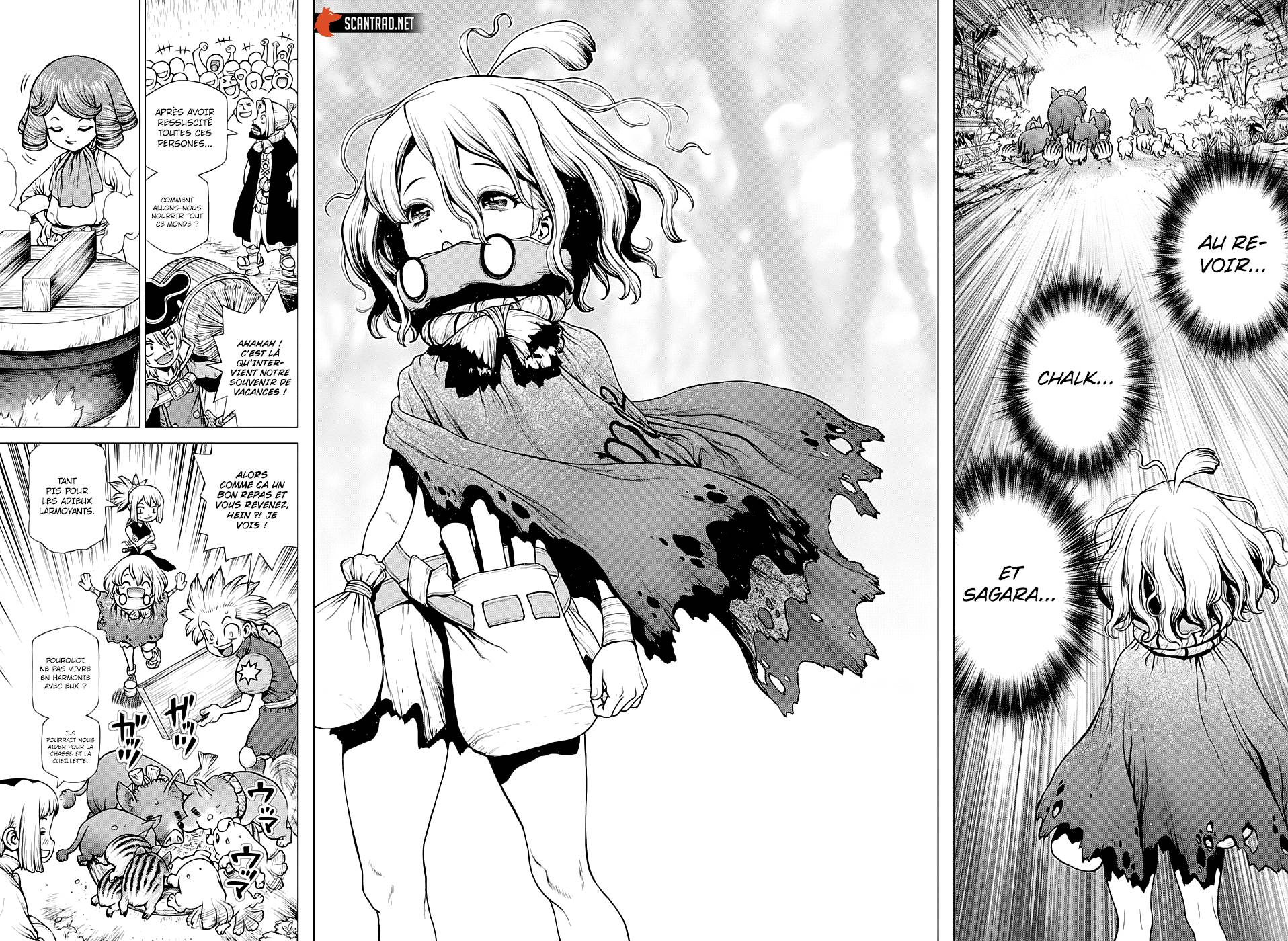 Lecture en ligne Dr Stone 212 page 14