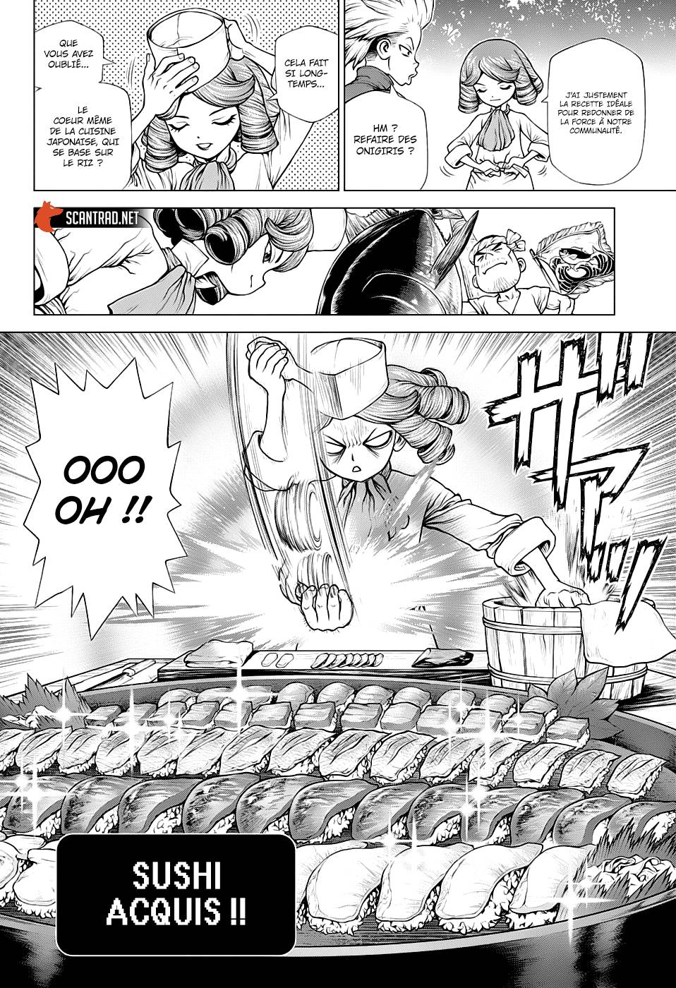 Lecture en ligne Dr Stone 212 page 15