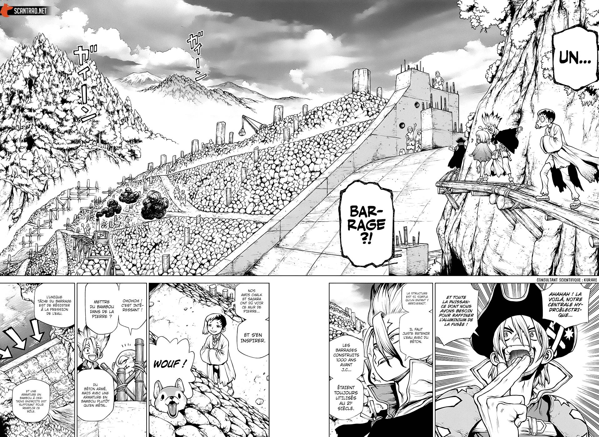 Lecture en ligne Dr Stone 212 page 17
