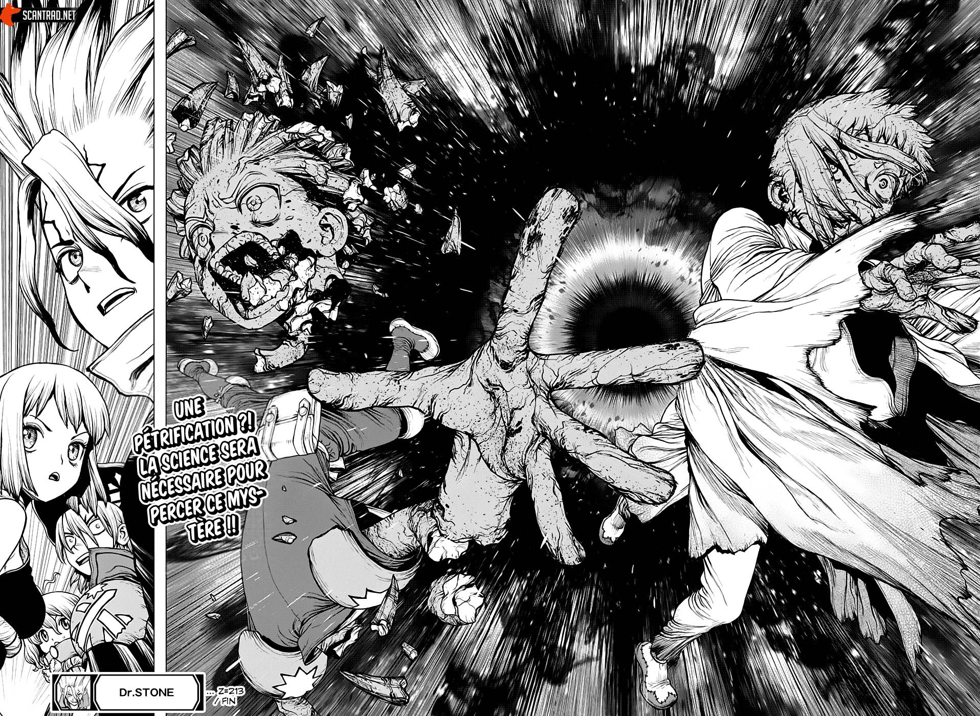 lecture en ligne Dr Stone 213 page 19