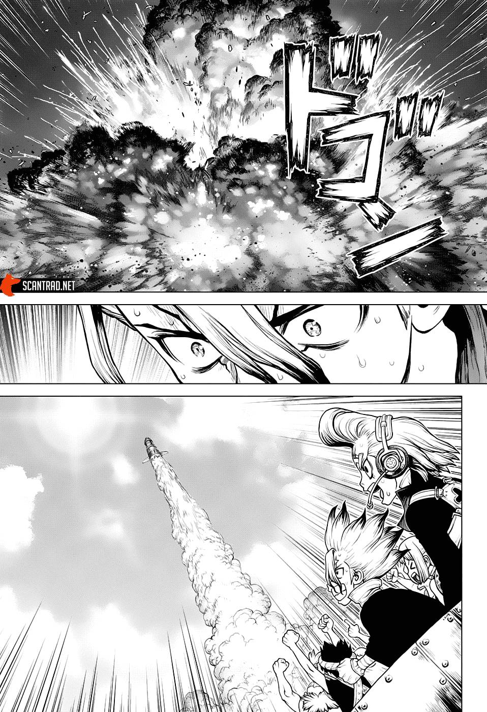 Lecture en ligne Dr Stone 215 page 16