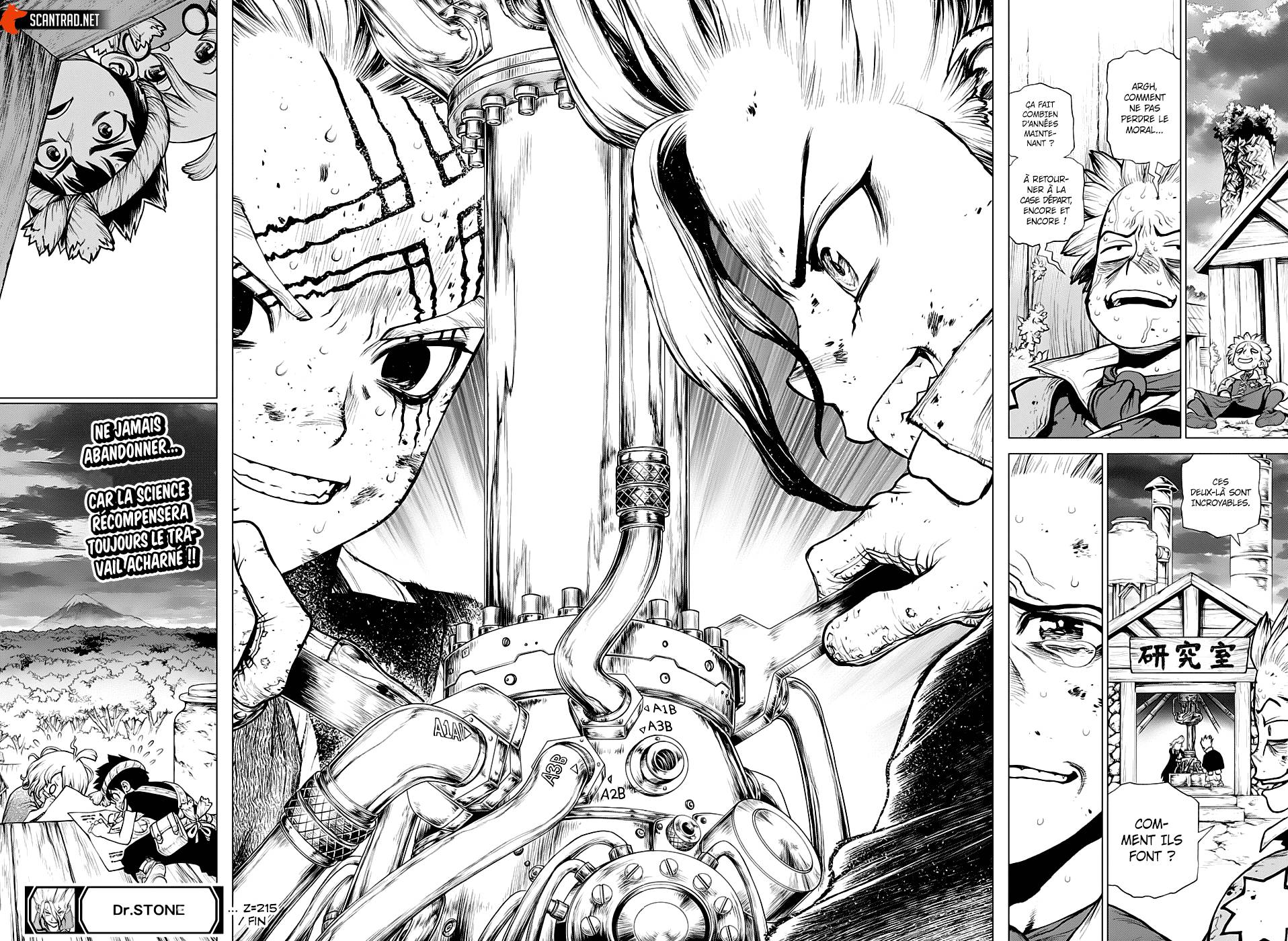 lecture en ligne Dr Stone 215 page 18