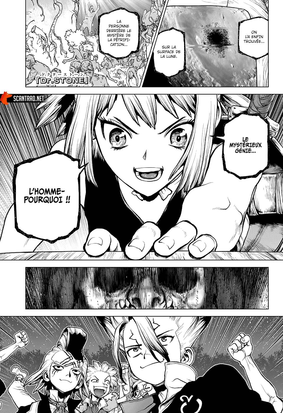 Lecture en ligne Dr Stone 217 page 1