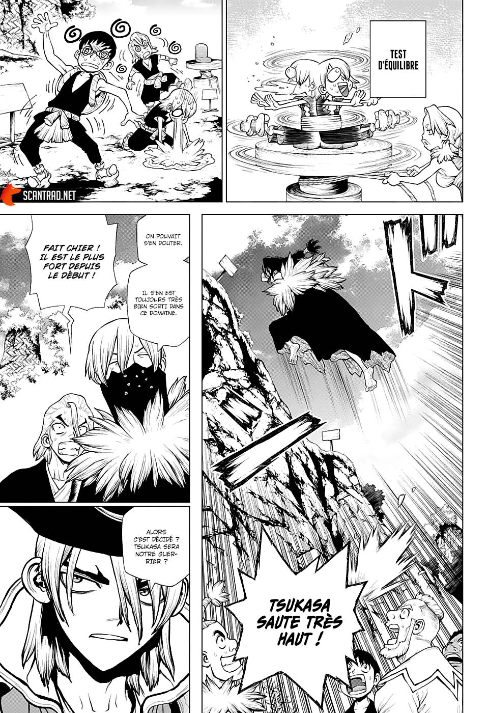 Lecture en ligne Dr Stone 219 page 12
