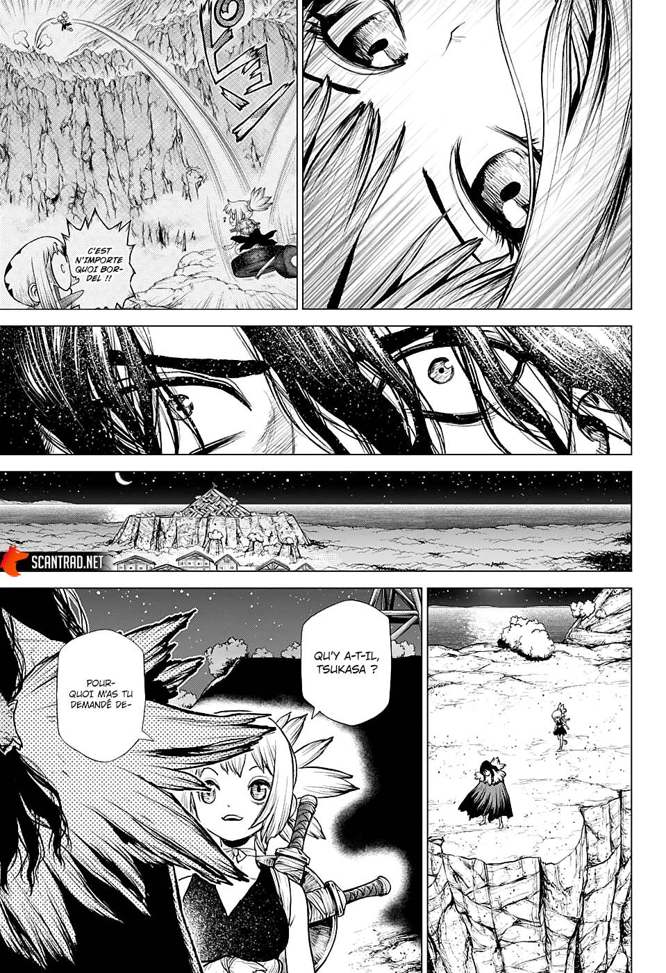 Lecture en ligne Dr Stone 219 page 14