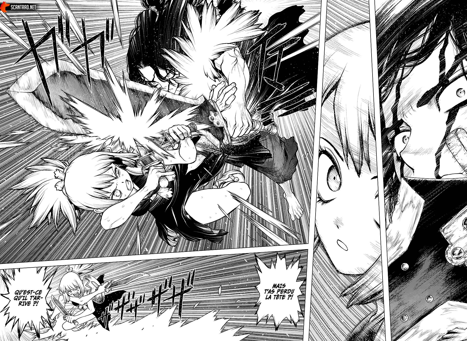 Lecture en ligne Dr Stone 219 page 15