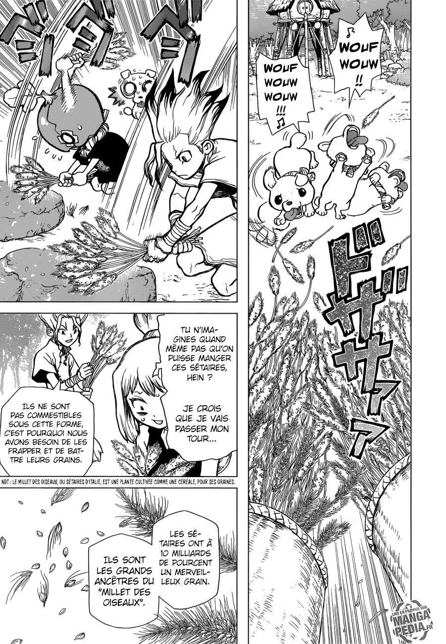 Lecture en ligne Dr Stone 22 page 11