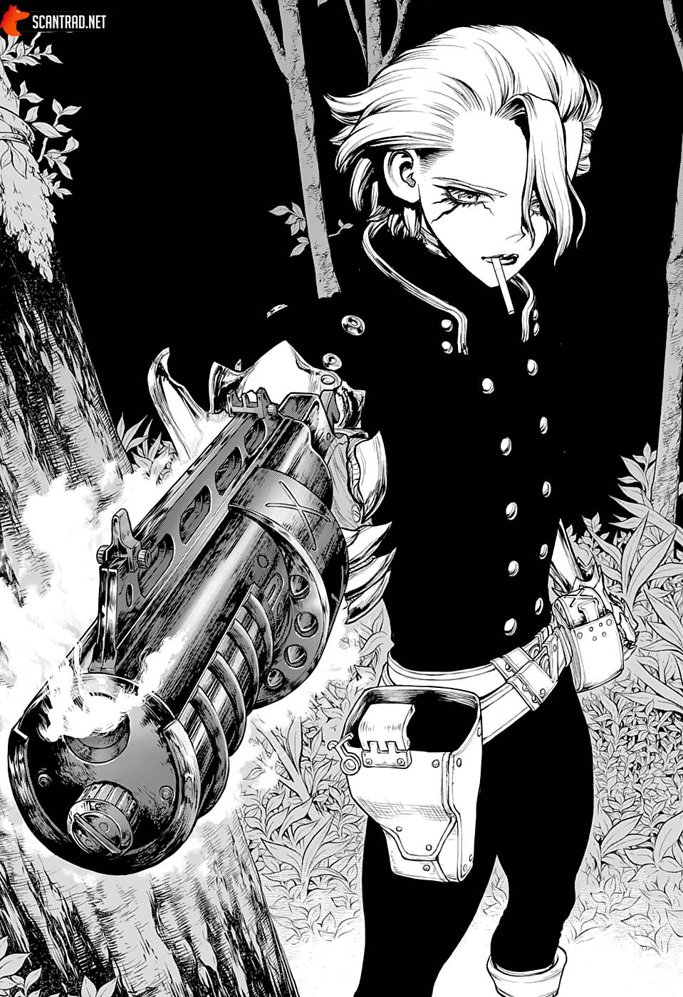 Lecture en ligne Dr Stone 221 page 18