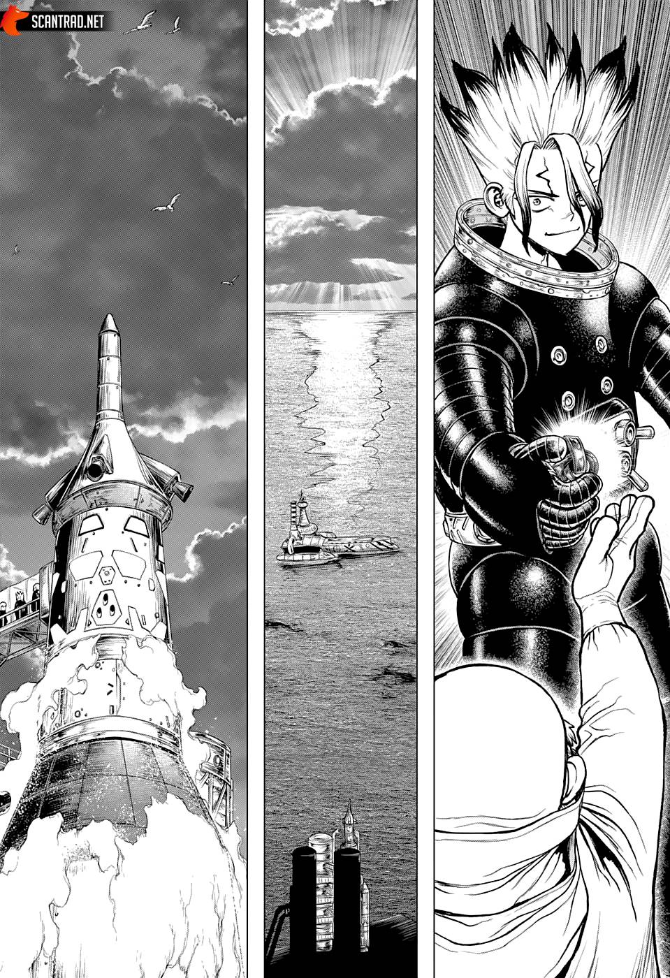 Lecture en ligne Dr Stone 223 page 12