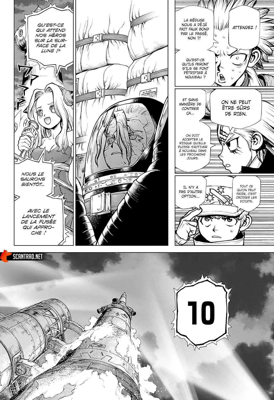 Lecture en ligne Dr Stone 223 page 14