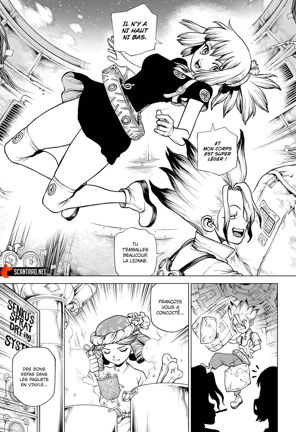 Lecture en ligne Dr Stone 224 page 13