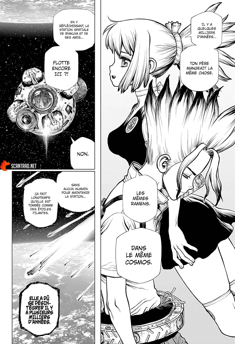 Lecture en ligne Dr Stone 224 page 15