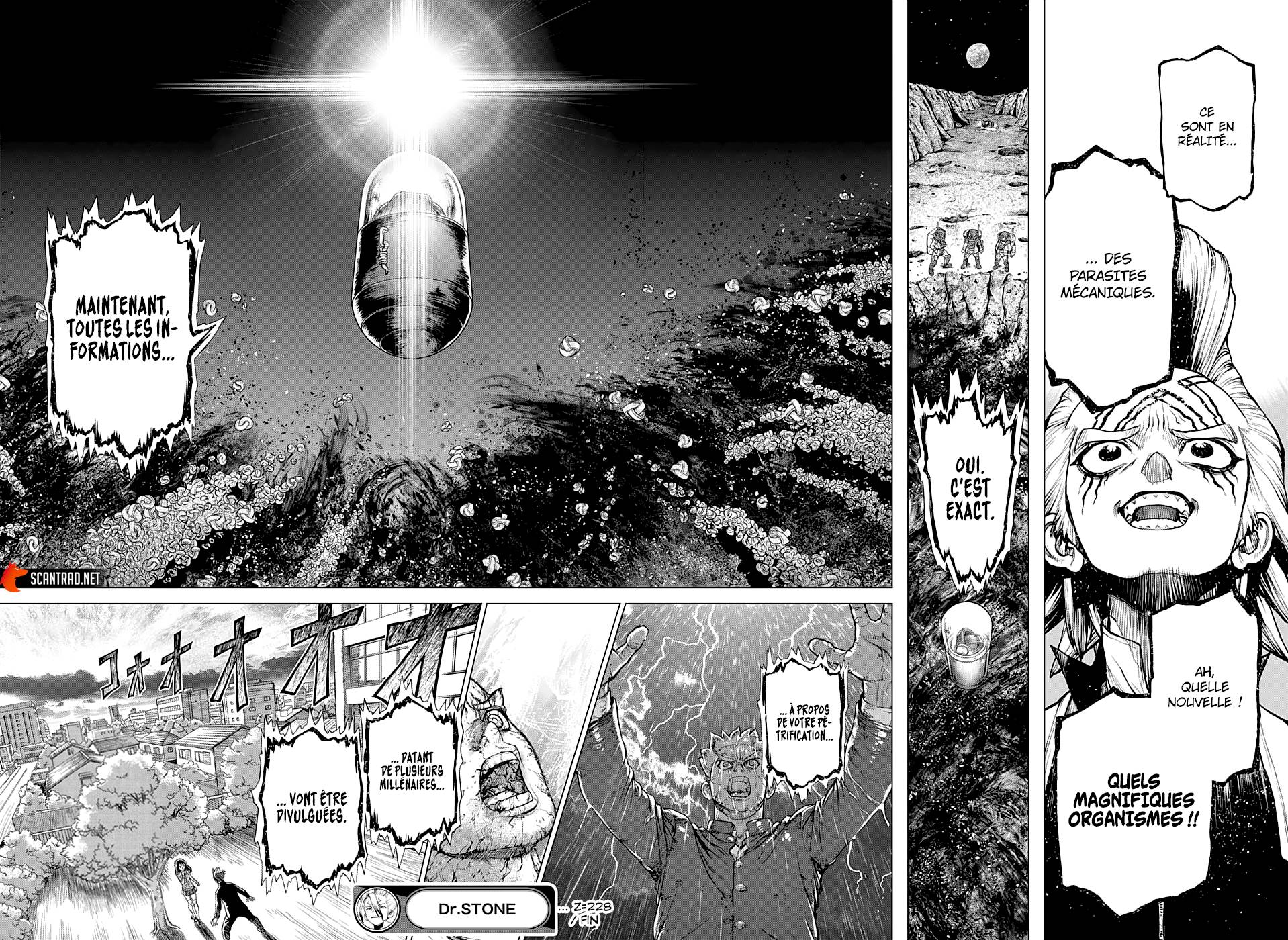 lecture en ligne Dr Stone 228 page 17