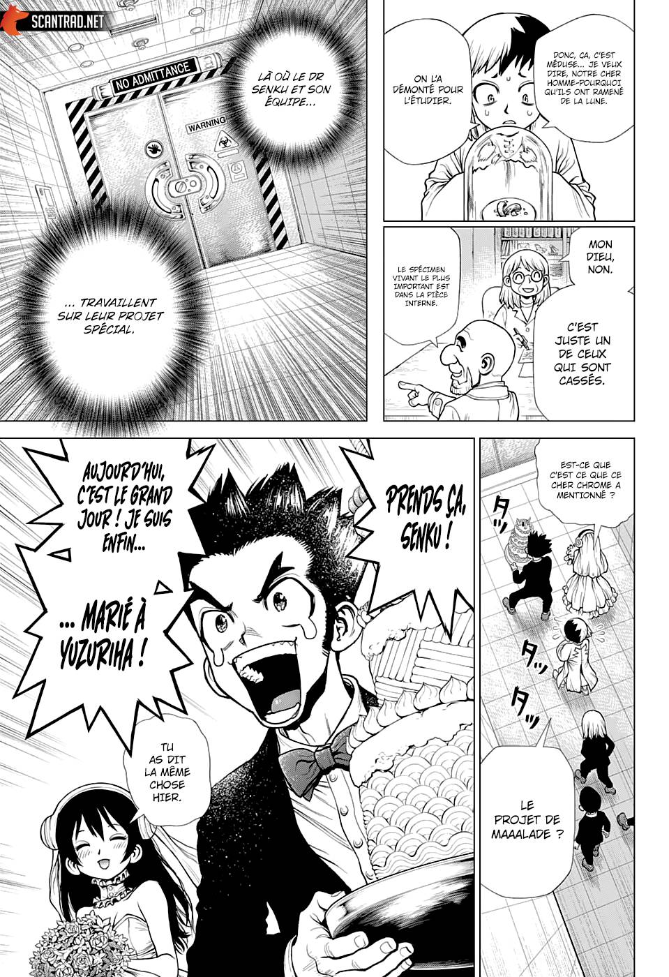 Lecture en ligne Dr Stone 232 page 13