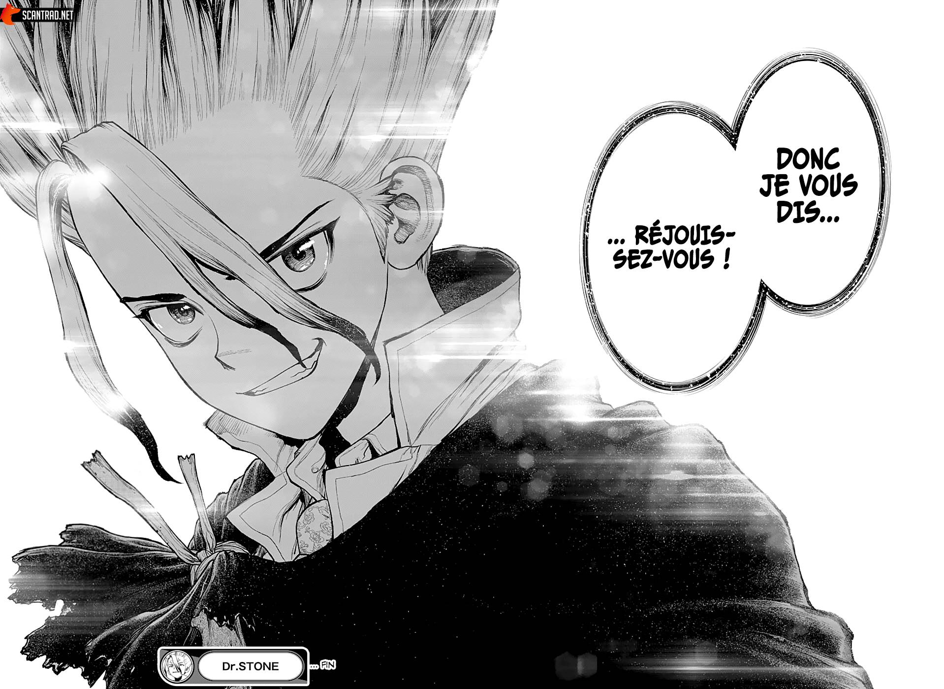 Lecture en ligne Dr Stone 232 page 21