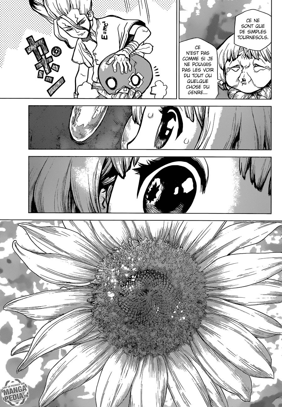 Lecture en ligne Dr Stone 28 page 14