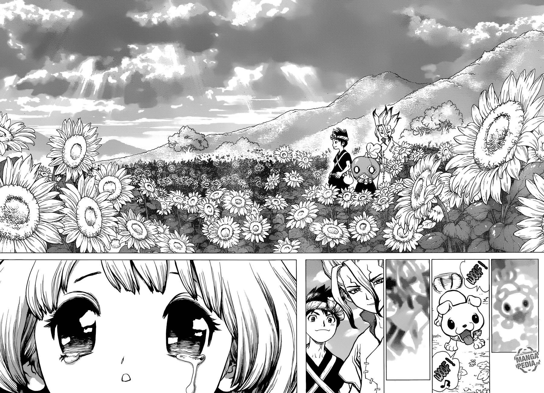 Lecture en ligne Dr Stone 28 page 15
