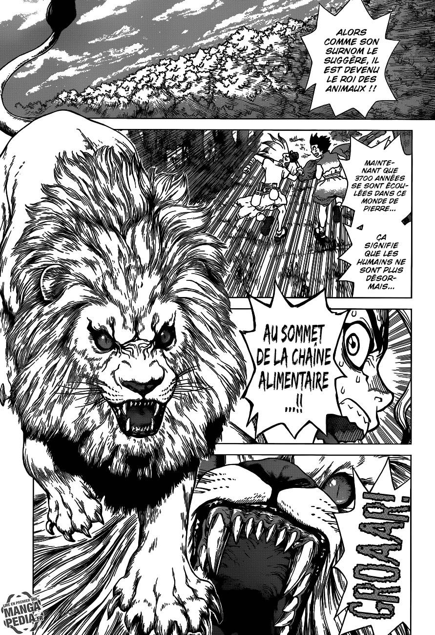 Lecture en ligne Dr Stone 3 page 8