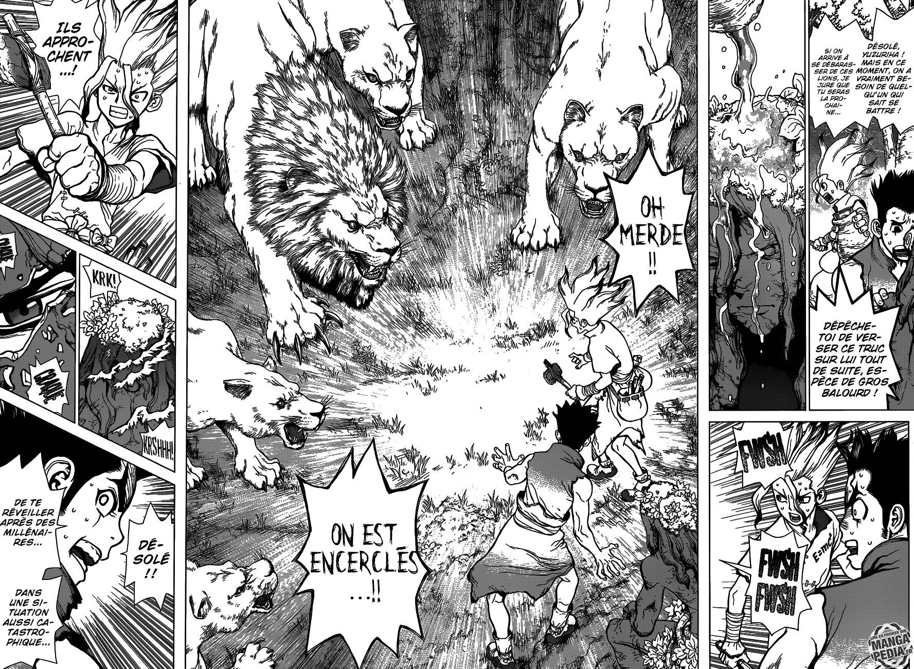 Lecture en ligne Dr Stone 3 page 15